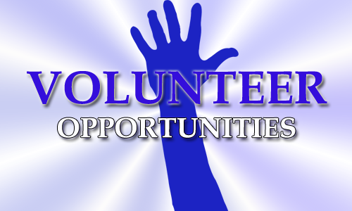 Looking for a purchasing director